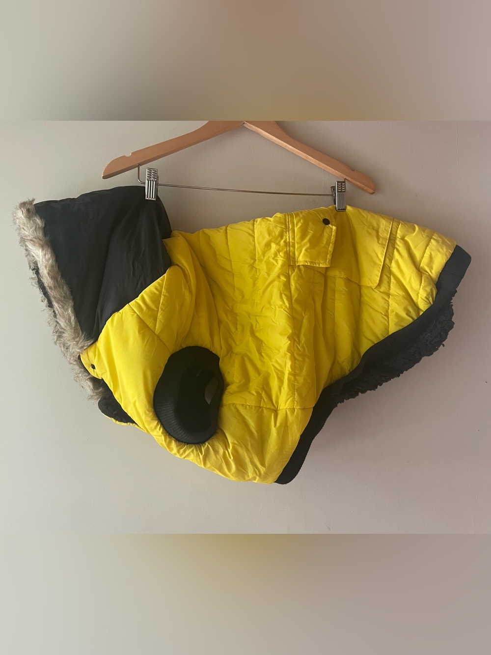 🦆 Frisco | Yellow Coat